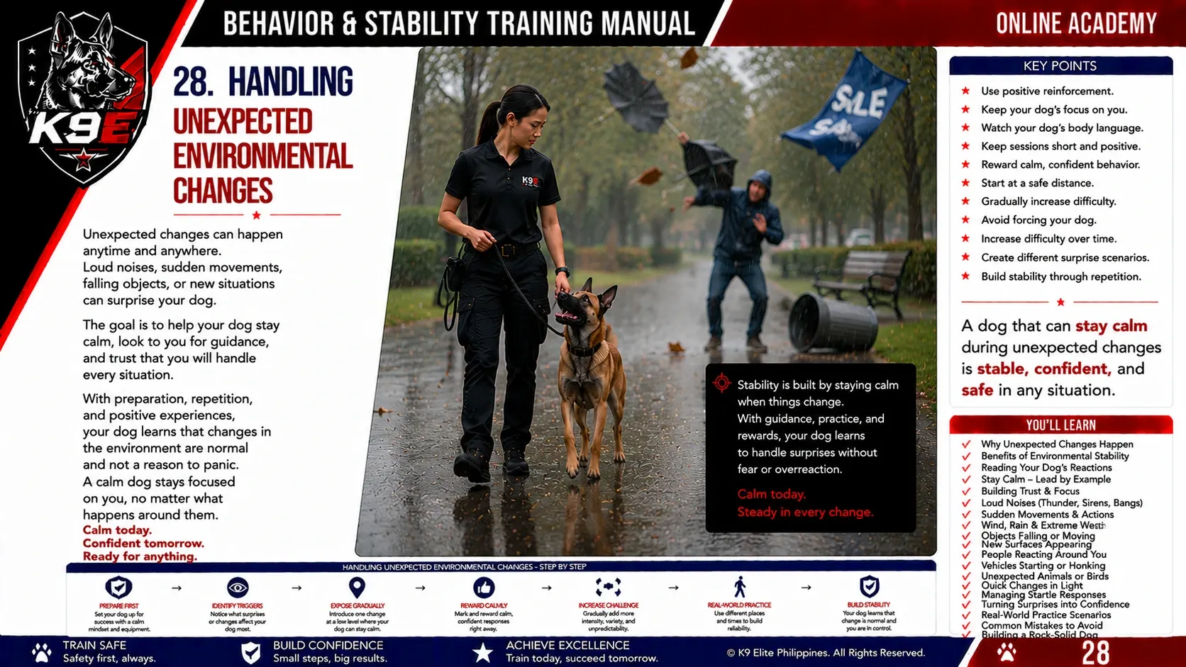 Behavior & Stability training