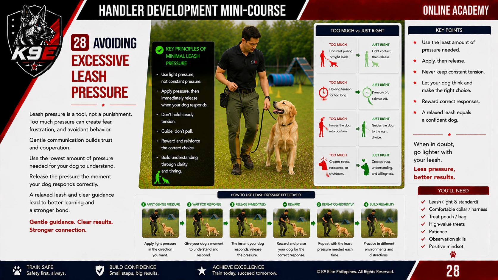 Handler Development training